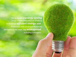 Brasindo presentation in english version