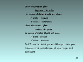 Choix du premier gène : longueur  des ailes   le  couple d’allèles étudié est donc: 1° allèle:  longues  2° allèle :  échancrées  Choix du second  gène : couleur des yeux   Le couple d’allèles étudié est donc: 1° allèle:  rouges  2° allèle:  marrons  De l ’énoncé on déduit que les allèles qui codent pour  les caractères « ailes longues et yeux rouges sont dominants 