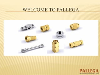 WELCOME TO PALLEGA
 