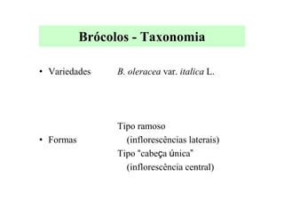 Brócolos - Taxonomia
• Variedades
• Formas
B. oleracea var. italica L.
Tipo ramoso
(inflorescências laterais)
Tipo “cabeça única”
(inflorescência central)
 