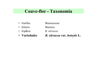 Couve-flor - Taxonomia
• Família
• Gênero
• Espécie
• Variedades
Brassicaceae
Brassica
B. oleracea
B. oleracea var. botrytis L.
 
