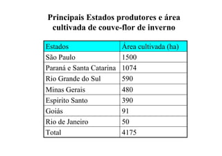 Principais Estados produtores e área
cultivada de couve-flor de inverno
590Rio Grande do Sul
4175Total
50Rio de Janeiro
91Goiás
390Espirito Santo
480Minas Gerais
1074Paraná e Santa Catarina
1500São Paulo
Área cultivada (ha)Estados
 