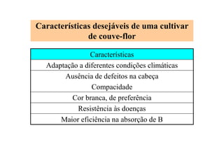 Características desejáveis de uma cultivar
de couve-flor
Maior eficiência na absorção de B
Resistência às doenças
Cor branca, de preferência
Ausência de defeitos na cabeça
Compacidade
Adaptação a diferentes condições climáticas
Características
 