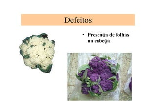 • Presença de folhas
na cabeça
Defeitos
 