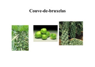 Couve-de-bruxelas
 
