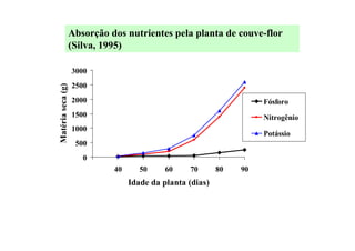 0
500
1000
1500
2000
2500
3000
40 50 60 70 80 90
Idade da planta (dias)
Matériaseca(g)
Fósforo
Nitrogênio
Potássio
Absorção dos nutrientes pela planta de couve-flor
(Silva, 1995)
 