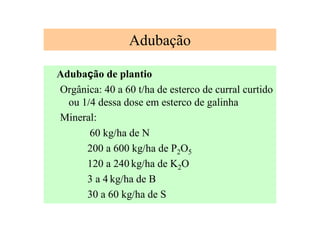 Adubação
Adubação de plantio
Orgânica: 40 a 60 t/ha de esterco de curral curtido
ou 1/4 dessa dose em esterco de galinha
Mineral:
60 kg/ha de N
200 a 600 kg/ha de P2O5
120 a 240 kg/ha de K2O
3 a 4 kg/ha de B
30 a 60 kg/ha de S
 