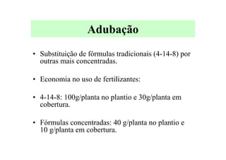 Adubação
• Substituição de fórmulas tradicionais (4-14-8) por
outras mais concentradas.
• Economia no uso de fertilizantes:
• 4-14-8: 100g/planta no plantio e 30g/planta em
cobertura.
• Fórmulas concentradas: 40 g/planta no plantio e
10 g/planta em cobertura.
 