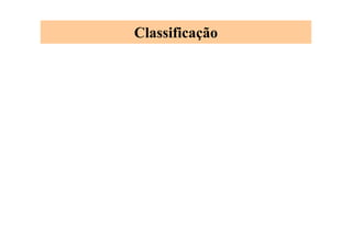 Classificação
 