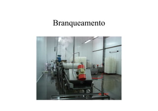 Branqueamento
 