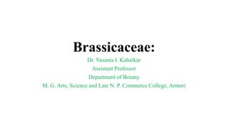 Brassicaceae:
Dr. Vasanta I. Kahalkar
Assistant Professor
Department of Botany
M. G. Arts, Science and Late N. P. Commerce College, Armori
 