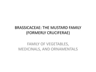 BRASSICACEAE: THE MUSTARD FAMILY
(FORMERLY CRUCIFERAE)
FAMILY OF VEGETABLES,
MEDICINALS, AND ORNAMENTALS
 
