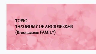 TOPIC -
TAXONOMY OF ANGIOSPERMS
(Brassicaceae FAMILY)
 