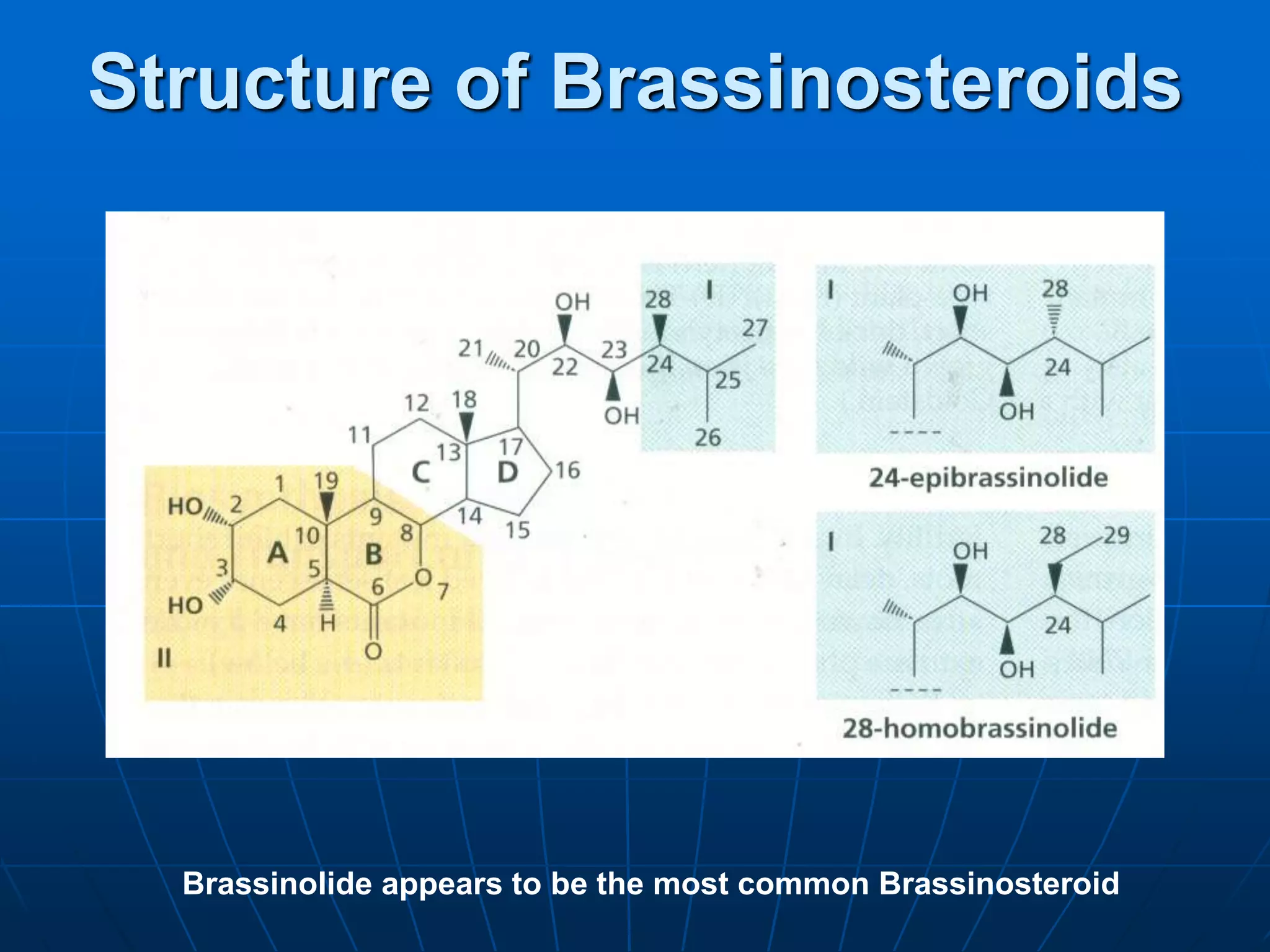 Brassinosteroids