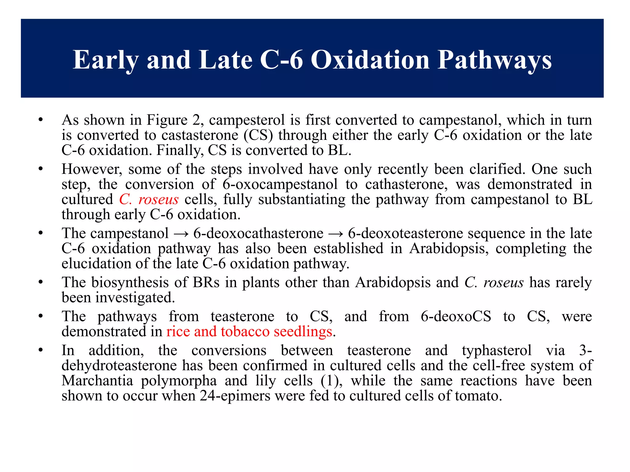 Early and Late C-6 Oxidation Pathways
• As shown in Figure 2, campesterol is first converted to campestanol, which in turn
is converted to castasterone (CS) through either the early C-6 oxidation or the late
C-6 oxidation. Finally, CS is converted to BL.
• However, some of the steps involved have only recently been clarified. One such
step, the conversion of 6-oxocampestanol to cathasterone, was demonstrated in
cultured C. roseus cells, fully substantiating the pathway from campestanol to BL
through early C-6 oxidation.
• The campestanol → 6-deoxocathasterone → 6-deoxoteasterone sequence in the late
C-6 oxidation pathway has also been established in Arabidopsis, completing the
elucidation of the late C-6 oxidation pathway.
• The biosynthesis of BRs in plants other than Arabidopsis and C. roseus has rarely
been investigated.
• The pathways from teasterone to CS, and from 6-deoxoCS to CS, were
demonstrated in rice and tobacco seedlings.
• In addition, the conversions between teasterone and typhasterol via 3-
dehydroteasterone has been confirmed in cultured cells and the cell-free system of
Marchantia polymorpha and lily cells (1), while the same reactions have been
shown to occur when 24-epimers were fed to cultured cells of tomato.
 