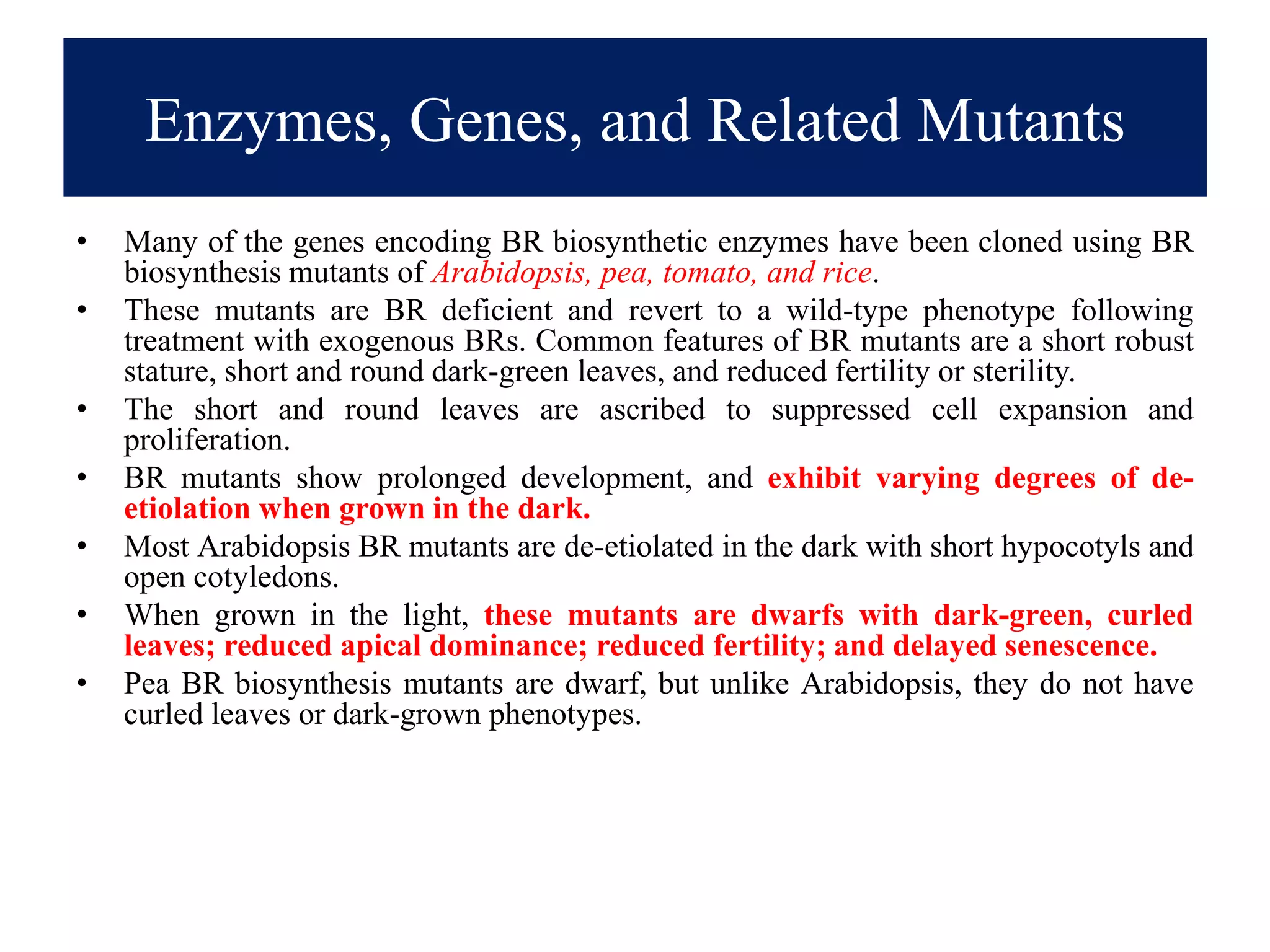 Enzymes, Genes, and Related Mutants
• Many of the genes encoding BR biosynthetic enzymes have been cloned using BR
biosynthesis mutants of Arabidopsis, pea, tomato, and rice.
• These mutants are BR deficient and revert to a wild-type phenotype following
treatment with exogenous BRs. Common features of BR mutants are a short robust
stature, short and round dark-green leaves, and reduced fertility or sterility.
• The short and round leaves are ascribed to suppressed cell expansion and
proliferation.
• BR mutants show prolonged development, and exhibit varying degrees of de-
etiolation when grown in the dark.
• Most Arabidopsis BR mutants are de-etiolated in the dark with short hypocotyls and
open cotyledons.
• When grown in the light, these mutants are dwarfs with dark-green, curled
leaves; reduced apical dominance; reduced fertility; and delayed senescence.
• Pea BR biosynthesis mutants are dwarf, but unlike Arabidopsis, they do not have
curled leaves or dark-grown phenotypes.
 