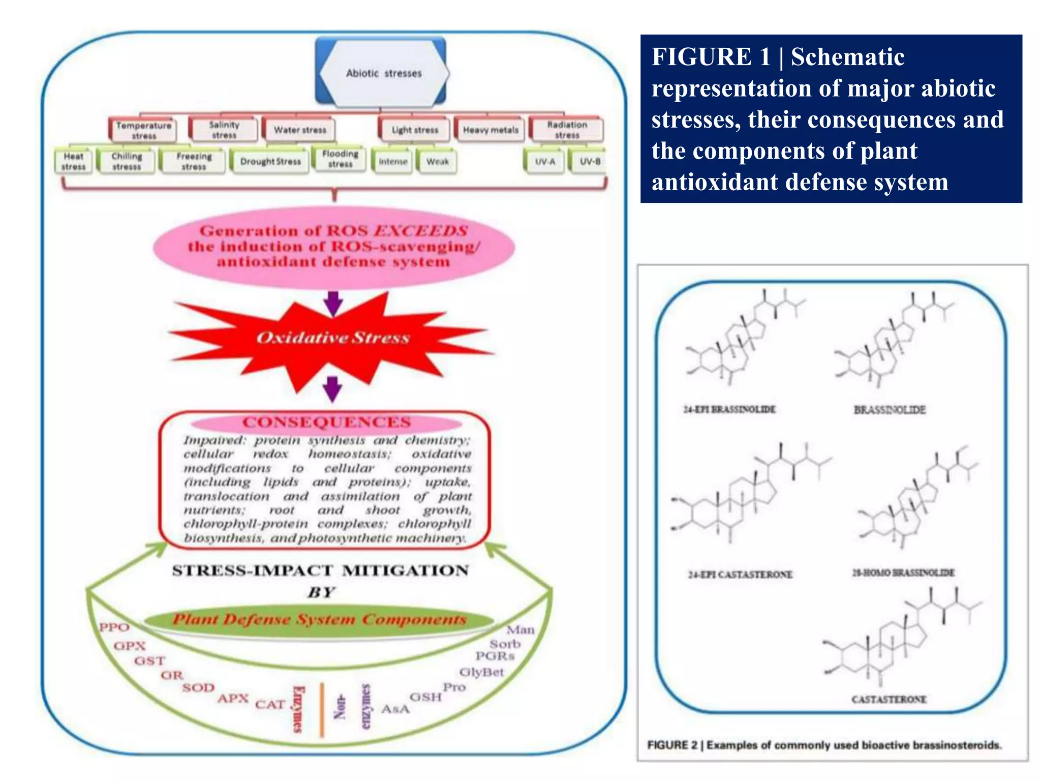 FIGURE 1 | Schematic
representation of major abiotic
stresses, their consequences and
the components of plant
antioxidant defense system
 