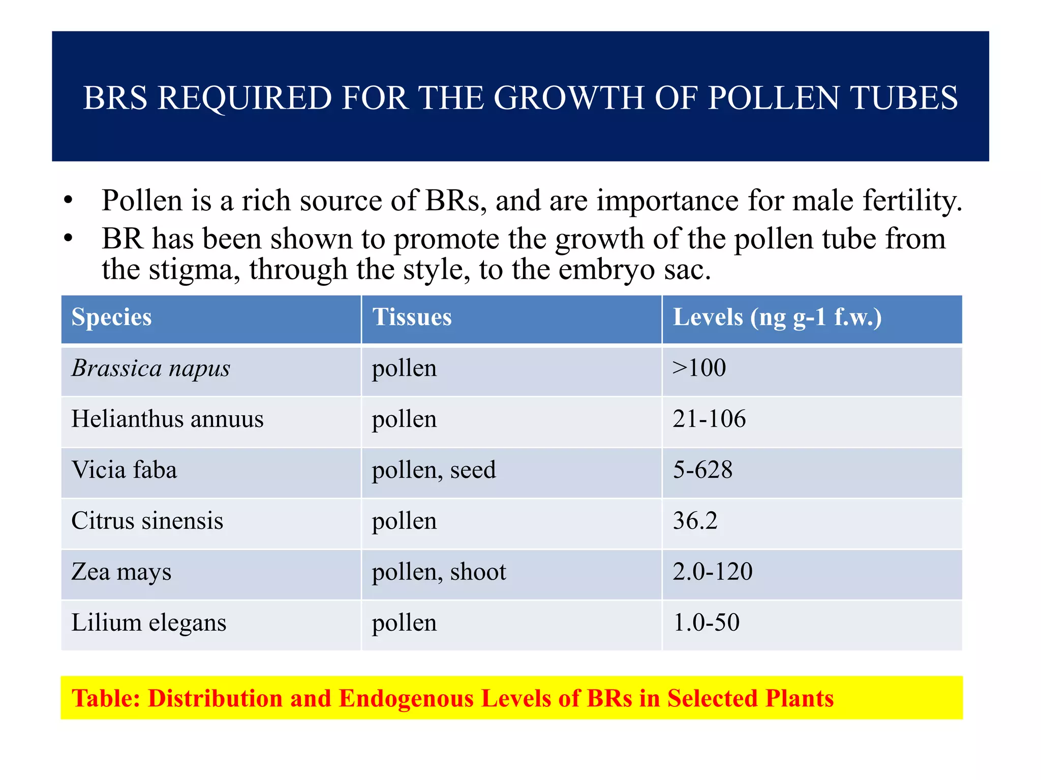 BRS REQUIRED FOR THE GROWTH OF POLLEN TUBES
• Pollen is a rich source of BRs, and are importance for male fertility.
• BR has been shown to promote the growth of the pollen tube from
the stigma, through the style, to the embryo sac.
Species Tissues Levels (ng g-1 f.w.)
Brassica napus pollen >100
Helianthus annuus pollen 21-106
Vicia faba pollen, seed 5-628
Citrus sinensis pollen 36.2
Zea mays pollen, shoot 2.0-120
Lilium elegans pollen 1.0-50
Table: Distribution and Endogenous Levels of BRs in Selected Plants
 