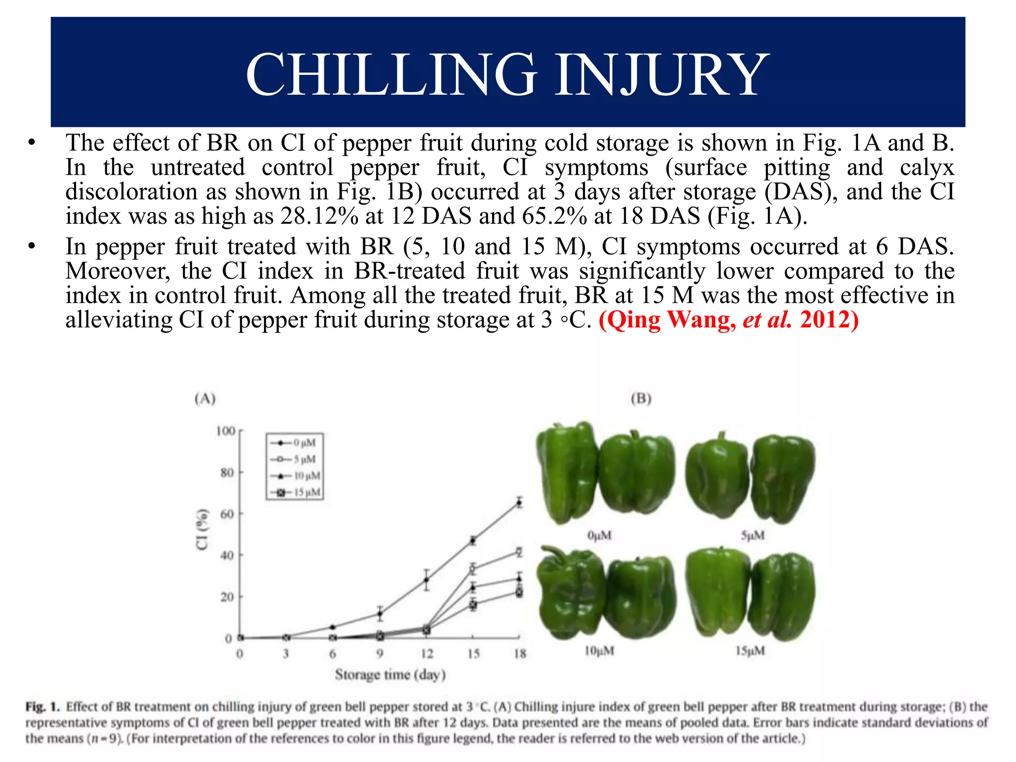 CHILLING INJURY
• The effect of BR on CI of pepper fruit during cold storage is shown in Fig. 1A and B.
In the untreated control pepper fruit, CI symptoms (surface pitting and calyx
discoloration as shown in Fig. 1B) occurred at 3 days after storage (DAS), and the CI
index was as high as 28.12% at 12 DAS and 65.2% at 18 DAS (Fig. 1A).
• In pepper fruit treated with BR (5, 10 and 15 M), CI symptoms occurred at 6 DAS.
Moreover, the CI index in BR-treated fruit was significantly lower compared to the
index in control fruit. Among all the treated fruit, BR at 15 M was the most effective in
alleviating CI of pepper fruit during storage at 3 ◦C. (Qing Wang, et al. 2012)
 