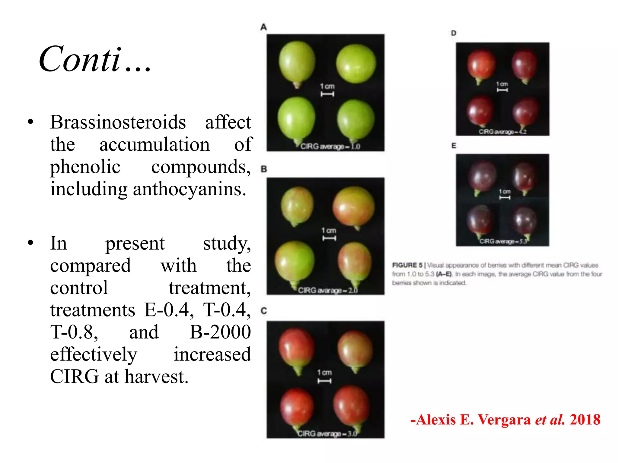 Conti…
• Brassinosteroids affect
the accumulation of
phenolic compounds,
including anthocyanins.
• In present study,
compared with the
control treatment,
treatments E-0.4, T-0.4,
T-0.8, and B-2000
effectively increased
CIRG at harvest.
-Alexis E. Vergara et al. 2018
 