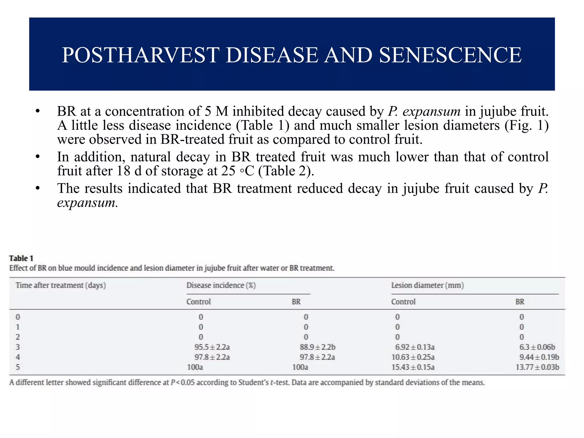 POSTHARVEST DISEASE AND SENESCENCE
• BR at a concentration of 5 M inhibited decay caused by P. expansum in jujube fruit.
A little less disease incidence (Table 1) and much smaller lesion diameters (Fig. 1)
were observed in BR-treated fruit as compared to control fruit.
• In addition, natural decay in BR treated fruit was much lower than that of control
fruit after 18 d of storage at 25 ◦C (Table 2).
• The results indicated that BR treatment reduced decay in jujube fruit caused by P.
expansum.
 
