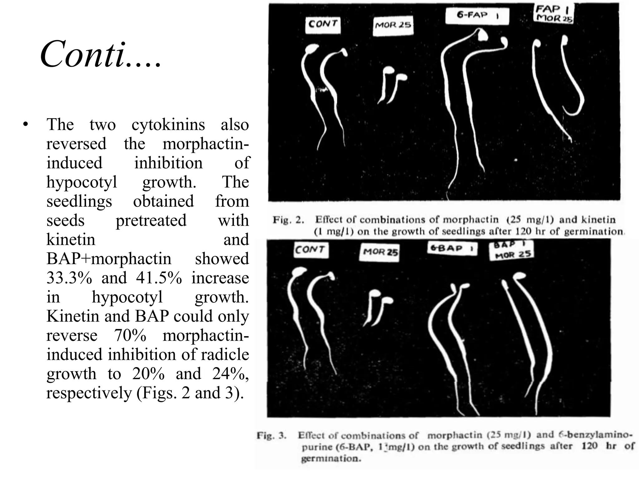 Conti....
• The two cytokinins also
reversed the morphactin-
induced inhibition of
hypocotyl growth. The
seedlings obtained from
seeds pretreated with
kinetin and
BAP+morphactin showed
33.3% and 41.5% increase
in hypocotyl growth.
Kinetin and BAP could only
reverse 70% morphactin-
induced inhibition of radicle
growth to 20% and 24%,
respectively (Figs. 2 and 3).
 