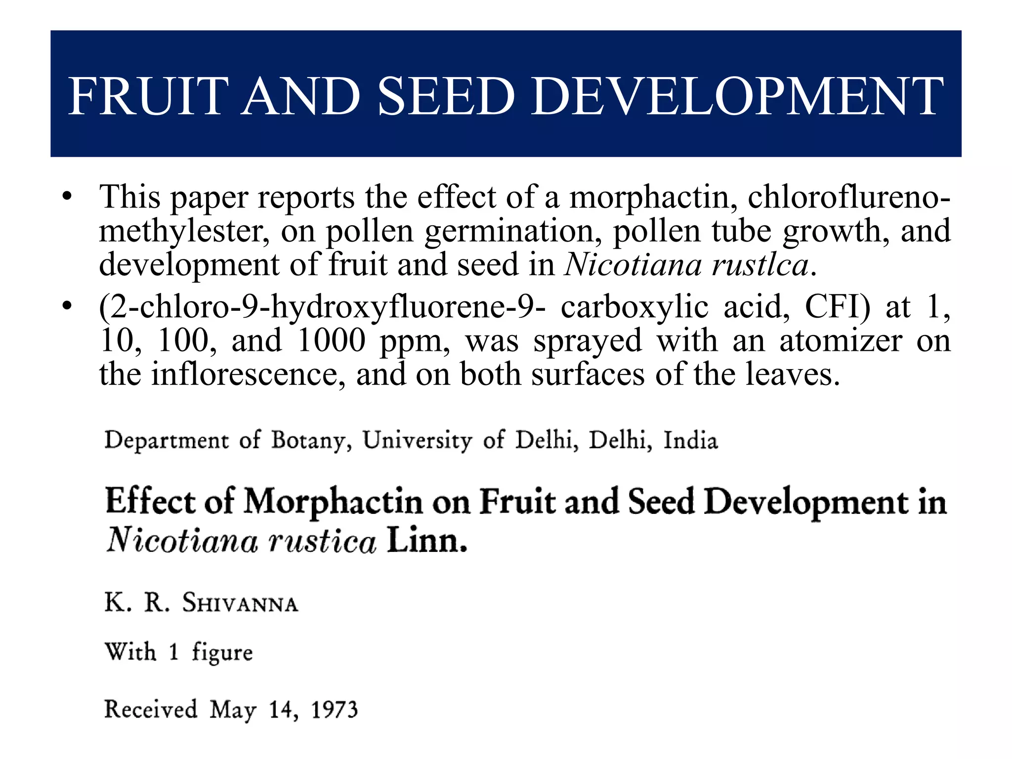 FRUIT AND SEED DEVELOPMENT
• This paper reports the effect of a morphactin, chloroflureno-
methylester, on pollen germination, pollen tube growth, and
development of fruit and seed in Nicotiana rustlca.
• (2-chloro-9-hydroxyfluorene-9- carboxylic acid, CFI) at 1,
10, 100, and 1000 ppm, was sprayed with an atomizer on
the inflorescence, and on both surfaces of the leaves.
 