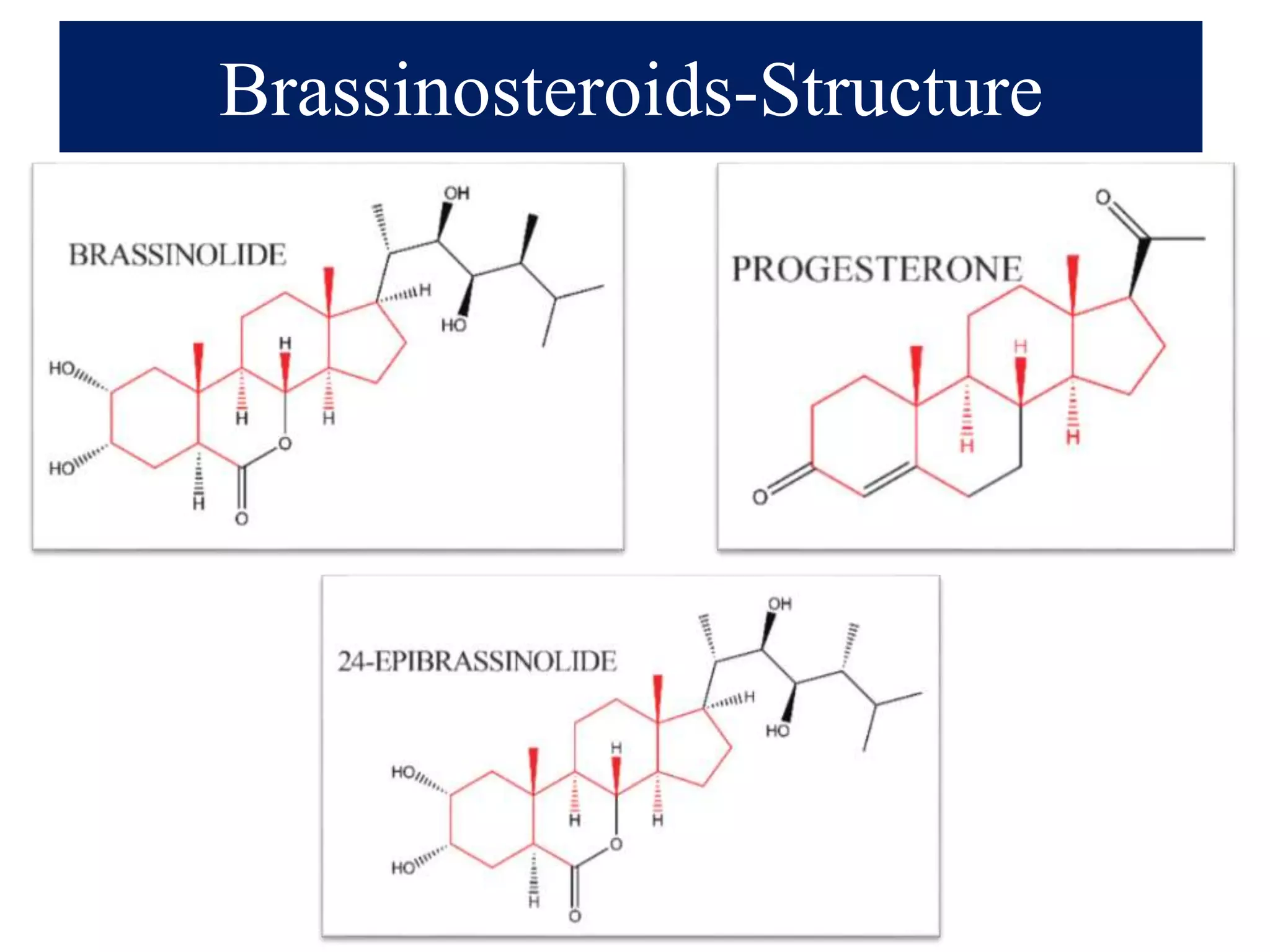Brassinosteroids-Structure
 
