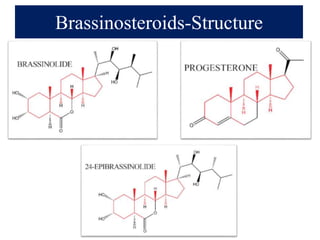Biosynthesis, translocation, physiological role in cell level, basic ...