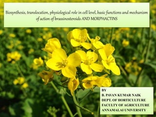 Biosynthesis, translocation, physiological role in cell level, basic functions and mechanism
of action of brassinosteroids AND MORPHACTINS
BY
B. PAVAN KUMAR NAIK
DEPT. OF HORTICULTURE
FACULTY OF AGRICULTURE
ANNAMALAI UNIVERSITY
 