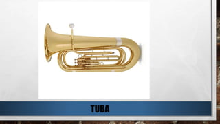 TUBA
 