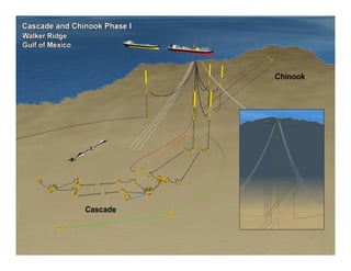 11 of 20
           11
 