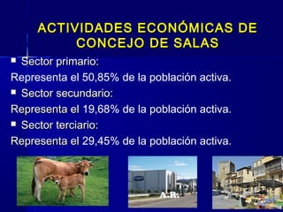 ACTIVIDADES ECONÓMICAS DE
          CONCEJO DE SALAS
 Sector primario:
Representa el 50,85% de la población activa.
 Sector secundario:

Representa el 19,68% de la población activa.
 Sector terciario:

Representa el 29,45% de la población activa.
 