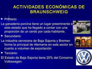 ACTIVIDADES ECONÓMICAS DE
               BRAUNSCHWEIG
  Primario:
La ganadería porcina tiene un lugar preeminente en
   este estado que ha llegado a contar con una
   proporción de un cerdo por cada habitante.
 Secundario:

La industria cervecera de Baja Sajonia y Bremen
   forma la principal de Alemania en este sector en
   cuanto a volumen de exportación
 Terciario:

El Estado de Baja Sajonia tiene 20% del Concerno
   Volkswagen.
 