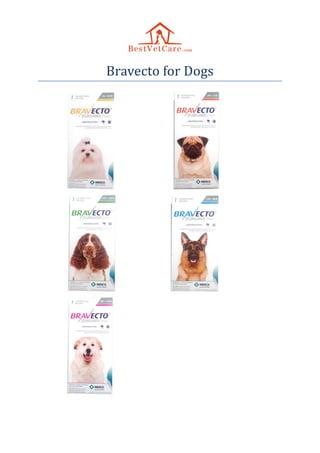Bravecto for Dogs
 
