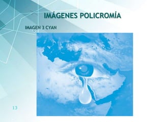 13
IMAGEN 3 CYAN
IMÁGENES POLICROMÍA
 