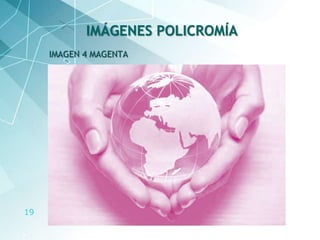 19
IMAGEN 4 MAGENTA
IMÁGENES POLICROMÍA
 