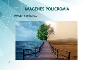 2
IMAGEN 1 ORIGINAL
IMÁGENES POLICROMÍA
 