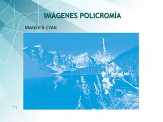 23
IMAGEN 5 CYAN
IMÁGENES POLICROMÍA
 