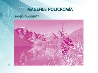 24
IMAGEN 5 MAGENTA
IMÁGENES POLICROMÍA
 