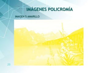25
IMAGEN 5 AMARILLO
IMÁGENES POLICROMÍA
 