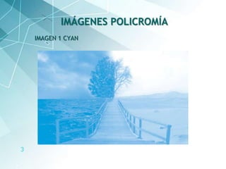3
IMAGEN 1 CYAN
IMÁGENES POLICROMÍA
 