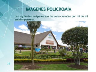 38
Las siguientes imágenes son las seleccionadas por mi de mi
archivo personal.
IMÁGENES POLICROMÍA
 