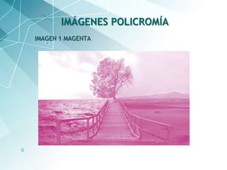 4
IMAGEN 1 MAGENTA
IMÁGENES POLICROMÍA
 