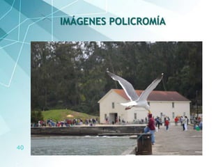 40
IMÁGENES POLICROMÍA
 
