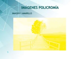 5
IMAGEN 1 AMARILLO
IMÁGENES POLICROMÍA
 