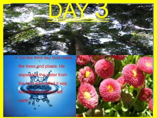 DAY 3On the third day God made   the trees and plants. He   separated the water from   the land and called it sea.   And the land that is left   earth.