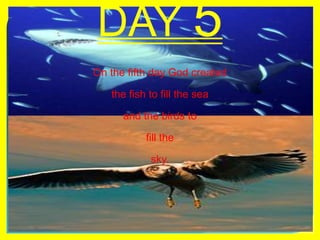 DAY 5On the fifth day God createdthe fish to fill the seaand the birds tofill the sky.  
