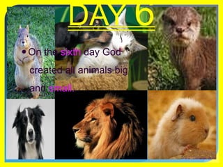 DAY 6On the sixth day God    created all animals big   and small..