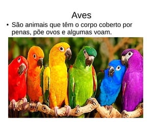 Aves
● São animais que têm o corpo coberto por
penas, põe ovos e algumas voam.
 